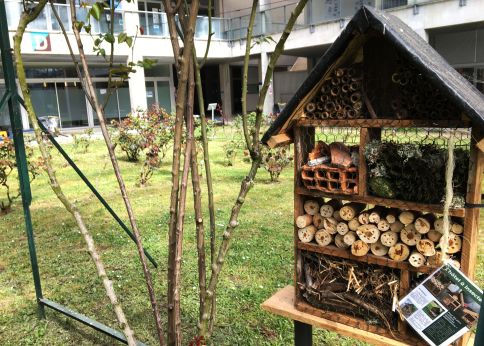 Photo Refuges aimed at promoting biodiversity on university campus sites © University of Bordeaux