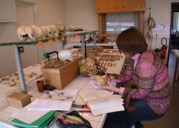 Photo : Centre anthropologique de Pessac, Collections d’anthropologie biologique © université de Bordeaux